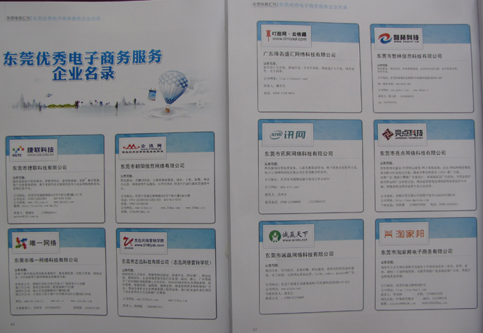 東莞市優(yōu)秀電商服務企業(yè)